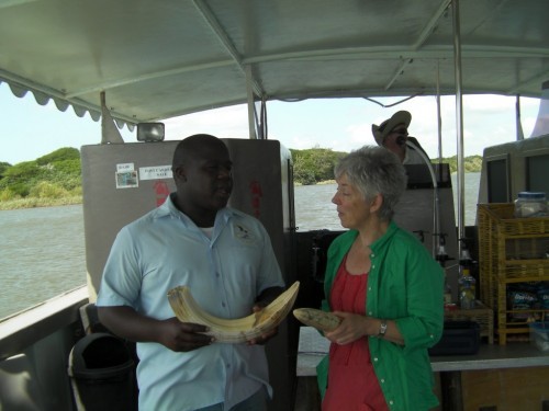 St Lucia Wetlands Tour