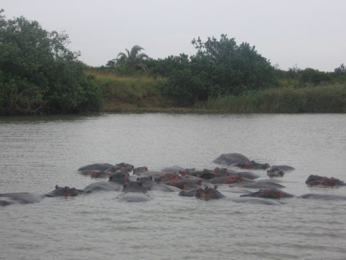 St Lucia Wetlands Tour